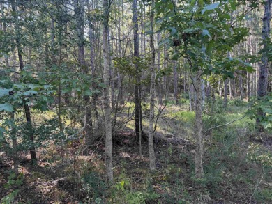 Premier  1/2  Acre Lot in Rayburn Country! Embrace the lifestyle on Rayburn Country Club in Texas - for sale on GolfHomes.com, golf home, golf lot