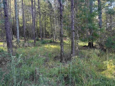 Premier  1/2  Acre Lot in Rayburn Country! Embrace the lifestyle on Rayburn Country Club in Texas - for sale on GolfHomes.com, golf home, golf lot