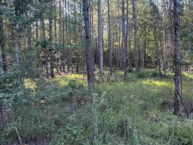 Premier  1/2  Acre Lot in Rayburn Country! Embrace the lifestyle on Rayburn Country Club in Texas - for sale on GolfHomes.com, golf home, golf lot