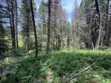 The Mountains are Calling..e explore this beautiful oasis of on Cascade Golf Course in Idaho - for sale on GolfHomes.com, golf home, golf lot