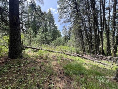 The Mountains are Calling..e explore this beautiful oasis of on Cascade Golf Course in Idaho - for sale on GolfHomes.com, golf home, golf lot