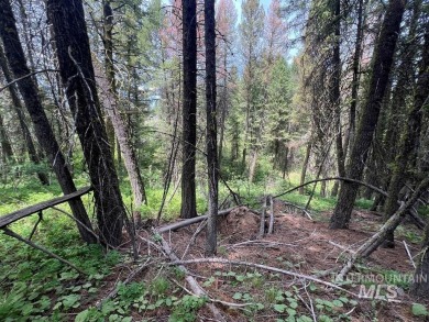 The Mountains are Calling..e explore this beautiful oasis of on Cascade Golf Course in Idaho - for sale on GolfHomes.com, golf home, golf lot