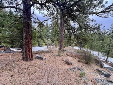 The Mountains are Calling..e explore this beautiful oasis of on Cascade Golf Course in Idaho - for sale on GolfHomes.com, golf home, golf lot