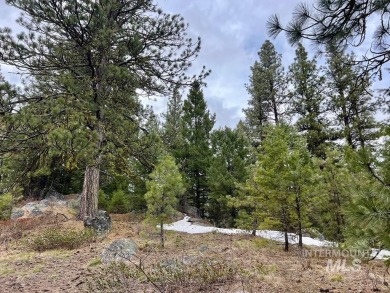 The Mountains are Calling..e explore this beautiful oasis of on Cascade Golf Course in Idaho - for sale on GolfHomes.com, golf home, golf lot
