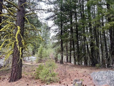 The Mountains are Calling..e explore this beautiful oasis of on Cascade Golf Course in Idaho - for sale on GolfHomes.com, golf home, golf lot