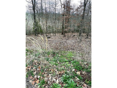 Beautiful Bella Vista lot on cul-de-sac. Directly on the Back 40 on Bella Vista - Metfield Golf Complex and Country Club in Arkansas - for sale on GolfHomes.com, golf home, golf lot