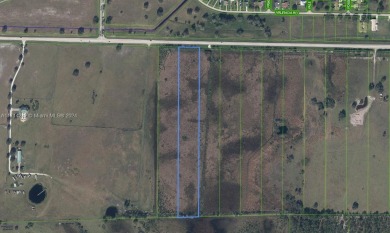 This land is 10.03 acres ready to be built in. It needs a on Spring Lake Golf Resort in Florida - for sale on GolfHomes.com, golf home, golf lot