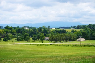 TENNESSEE DREAMS on Dandridge Golf and Country Club in Tennessee - for sale on GolfHomes.com, golf home, golf lot