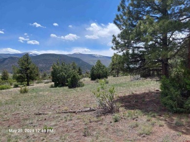 Yvonne Hoffman, Steffens and Company Realty, Inc, C: , hoffman on Rio Grande Golf Club in Colorado - for sale on GolfHomes.com, golf home, golf lot