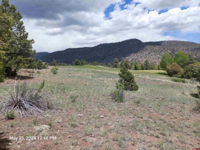 Yvonne Hoffman, Steffens and Company Realty, Inc, C: , hoffman on Rio Grande Golf Club in Colorado - for sale on GolfHomes.com, golf home, golf lot