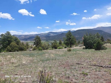 Yvonne Hoffman, Steffens and Company Realty, Inc, C: , hoffman on Rio Grande Golf Club in Colorado - for sale on GolfHomes.com, golf home, golf lot