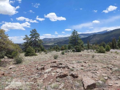 Yvonne Hoffman, Steffens and Company Realty, Inc, C: , hoffman on Rio Grande Golf Club in Colorado - for sale on GolfHomes.com, golf home, golf lot