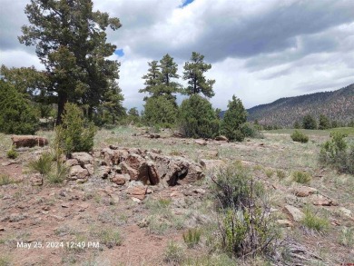 Yvonne Hoffman, Steffens and Company Realty, Inc, C: , hoffman on Rio Grande Golf Club in Colorado - for sale on GolfHomes.com, golf home, golf lot