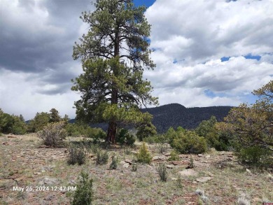 Yvonne Hoffman, Steffens and Company Realty, Inc, C: , hoffman on Rio Grande Golf Club in Colorado - for sale on GolfHomes.com, golf home, golf lot