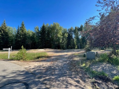 Gorgeous building lot that backs to Cedar #1 Tee Box and Driving on McCall Municipal Golf Course in Idaho - for sale on GolfHomes.com, golf home, golf lot