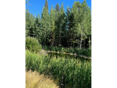 Gorgeous building lot that backs to Cedar #1 Tee Box and Driving on McCall Municipal Golf Course in Idaho - for sale on GolfHomes.com, golf home, golf lot