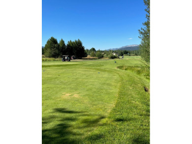 Gorgeous building lot that backs to Cedar #1 Tee Box and Driving on McCall Municipal Golf Course in Idaho - for sale on GolfHomes.com, golf home, golf lot