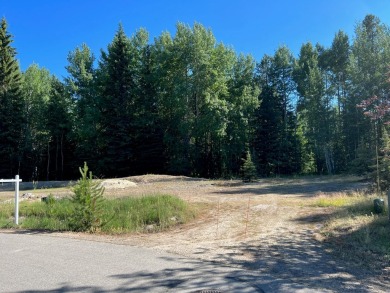 Gorgeous building lot that backs to Cedar #1 Tee Box and Driving on McCall Municipal Golf Course in Idaho - for sale on GolfHomes.com, golf home, golf lot