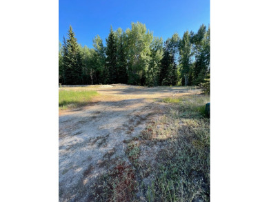 Gorgeous building lot that backs to Cedar #1 Tee Box and Driving on McCall Municipal Golf Course in Idaho - for sale on GolfHomes.com, golf home, golf lot