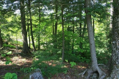 Opportunity to own lot directly on the Sunday River Country on Sunday River Golf Club in Maine - for sale on GolfHomes.com, golf home, golf lot