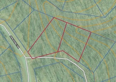 Two adjacent lots on the East side of Bella Vista totaling .53 on Bella Vista - Metfield Golf Complex and Country Club in Arkansas - for sale on GolfHomes.com, golf home, golf lot