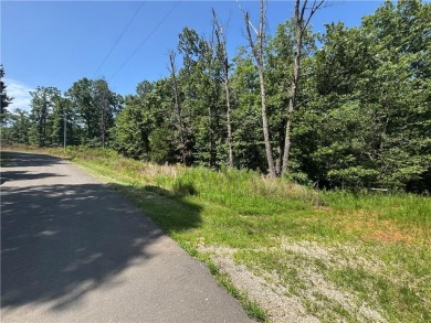 Two adjacent lots on the East side of Bella Vista totaling .53 on Bella Vista - Metfield Golf Complex and Country Club in Arkansas - for sale on GolfHomes.com, golf home, golf lot