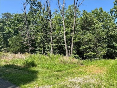 Two adjacent lots on the East side of Bella Vista totaling .53 on Bella Vista - Metfield Golf Complex and Country Club in Arkansas - for sale on GolfHomes.com, golf home, golf lot