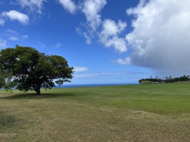 Introducing an extraordinary real estate opportunity in on Makai Golf Club At Princeville in Hawaii - for sale on GolfHomes.com, golf home, golf lot