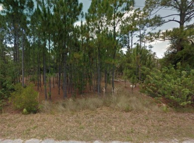 VACANT RESIDENTIAL LOT - WATERFRONT! Located in the quiet Punta on Seminole Lakes Country Club in Florida - for sale on GolfHomes.com, golf home, golf lot