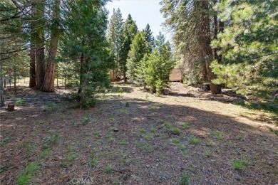 Lake Almanor Country Club! This adorable remodeled FULLY on Lake Almanor Country Club in California - for sale on GolfHomes.com, golf home, golf lot