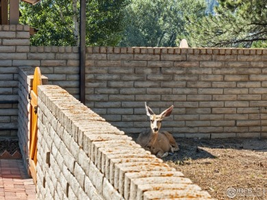 Experience elevated mountain living in this fully remodeled on Lake Estes Golf Course in Colorado - for sale on GolfHomes.com, golf home, golf lot