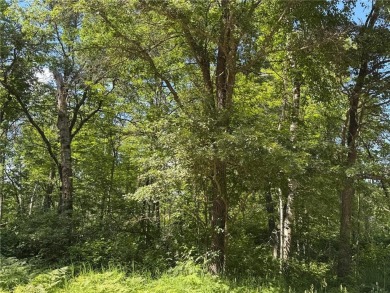 This level wooded lot is a great option for buyers looking to on Deacons Lodge Golf Course in Minnesota - for sale on GolfHomes.com, golf home, golf lot