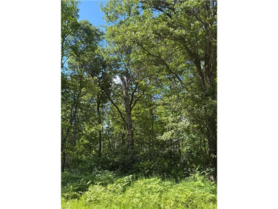 This level wooded lot is a great option for buyers looking to on Deacons Lodge Golf Course in Minnesota - for sale on GolfHomes.com, golf home, golf lot