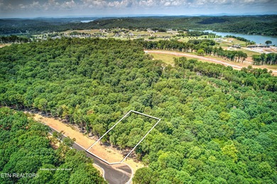 Build your DREAM HOME in the Ridgetop Retreat section of the on Tennessee National Golf Club in Tennessee - for sale on GolfHomes.com, golf home, golf lot