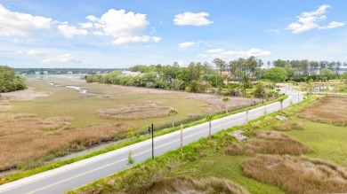 BUY NOW, BUILD TOMORROW, OR WHEN YOU'RE READY-AND GOLF ALL THE on Daniel Island Club in South Carolina - for sale on GolfHomes.com, golf home, golf lot