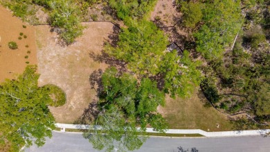 BUY NOW, BUILD TOMORROW, OR WHEN YOU'RE READY-AND GOLF ALL THE on Daniel Island Club in South Carolina - for sale on GolfHomes.com, golf home, golf lot