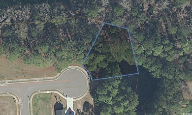 Beautiful golf course lot on a cul de sac, located on the on Wild Wing Plantation in South Carolina - for sale on GolfHomes.com, golf home, golf lot