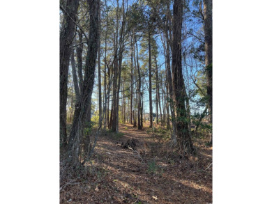 Beautiful golf course lot on a cul de sac, located on the on Wild Wing Plantation in South Carolina - for sale on GolfHomes.com, golf home, golf lot
