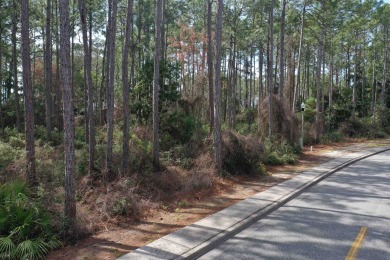 Prime vacant lot in St. James Golf & Pickleball Resort! Discover on St. James Bay in Florida - for sale on GolfHomes.com, golf home, golf lot