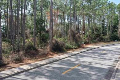 Prime vacant lot in St. James Golf & Pickleball Resort! Discover on St. James Bay in Florida - for sale on GolfHomes.com, golf home, golf lot