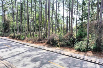 Prime vacant lot in St. James Golf & Pickleball Resort! Discover on St. James Bay in Florida - for sale on GolfHomes.com, golf home, golf lot