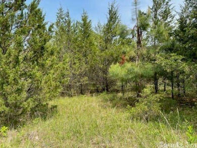 This lovely golf course lot is located on #5 Fairway of Turkey on The Course At Turkey Mountain in Arkansas - for sale on GolfHomes.com, golf home, golf lot