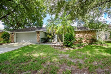 Under contract-accepting backup offers. Welcome to 2511 on Buckhorn Springs Golf and Country Club in Florida - for sale on GolfHomes.com, golf home, golf lot