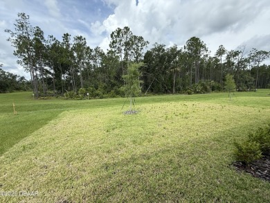 Introducing a brand-new, energy-efficient home available for on LPGA International Golf Course in Florida - for sale on GolfHomes.com, golf home, golf lot