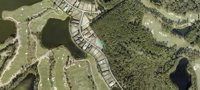 Build your dream home on this premium homesite located at 491 on Conservatory Course At Hammock Beach Resort in Florida - for sale on GolfHomes.com, golf home, golf lot