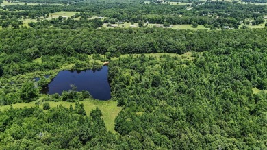 Welcome to 5002 Batesville Pike. This sprawling Sherwood on Pine Valley Golf Course in Arkansas - for sale on GolfHomes.com, golf home, golf lot