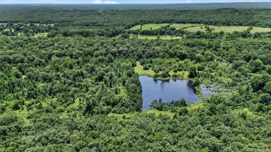 Welcome to 5002 Batesville Pike. This sprawling Sherwood on Pine Valley Golf Course in Arkansas - for sale on GolfHomes.com, golf home, golf lot