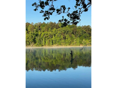 Wonderful lake front home in the piney woods of East Texas on Pine Dunes Golf Course in Texas - for sale on GolfHomes.com, golf home, golf lot