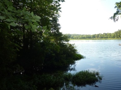 Wonderful lake front home in the piney woods of East Texas on Pine Dunes Golf Course in Texas - for sale on GolfHomes.com, golf home, golf lot