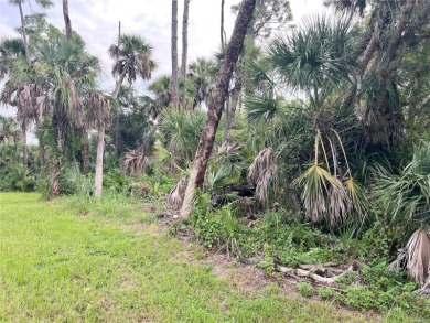 RARE OPPORTUNITY!!! TRIPLE LOT 0.69 Acres in prime location of on Sabal Trace Golf and Country Club in Florida - for sale on GolfHomes.com, golf home, golf lot